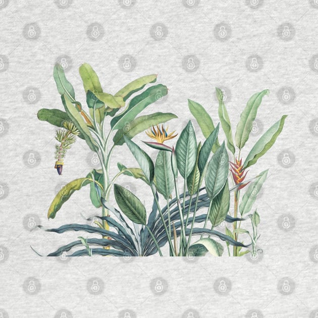 Green Tropical Jungle Banana Tree Strelitzia by CatyArte